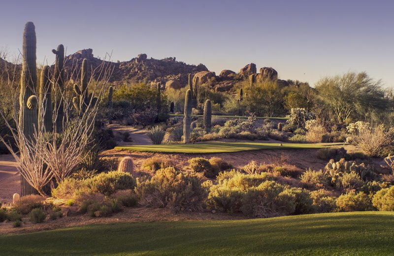 Scottsdale(1)